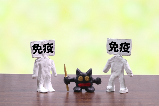 福岡　アレルギー